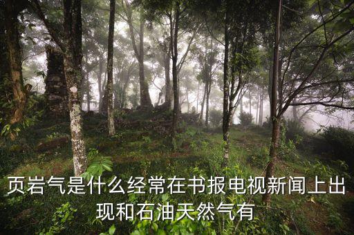 頁巖氣和天然氣有什么不同，頁巖氣與煤層氣的區(qū)別