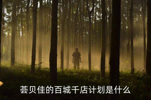 百城千店是干什么的，百城千店介貸是什么
