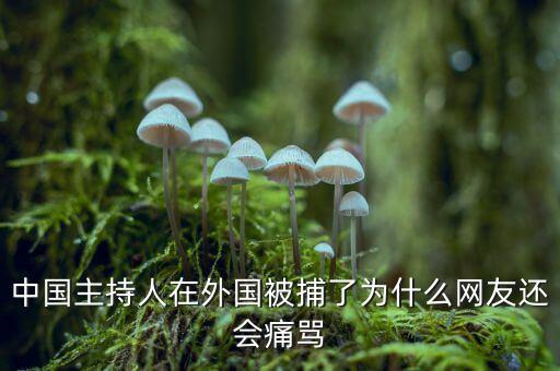 國(guó)網(wǎng)魏慶海出什么事了，中國(guó)主持人在外國(guó)被捕了為什么網(wǎng)友還會(huì)痛罵