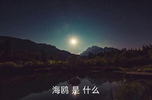 海鷗和石墨是什么關(guān)系，MAURICE BLUM品牌和海鷗有什么關(guān)系