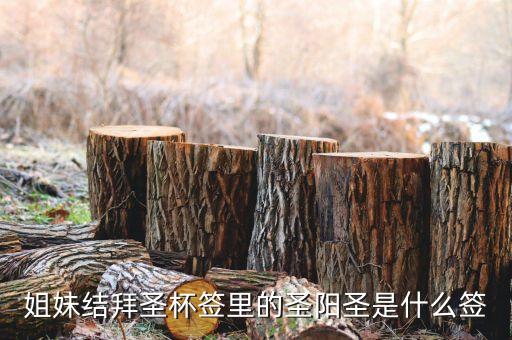 圣陽(yáng)圣屬什么簽，天災(zāi)禍不除我去拜佛了請(qǐng)問(wèn)下這只簽是什么意思啊好