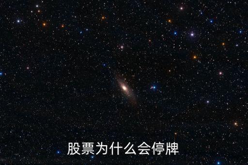 002163為什么停牌，股票為什么會(huì)停牌