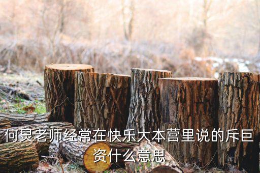 赤巨資是什么意思，赤巨資是什么意思能解釋一下嗎