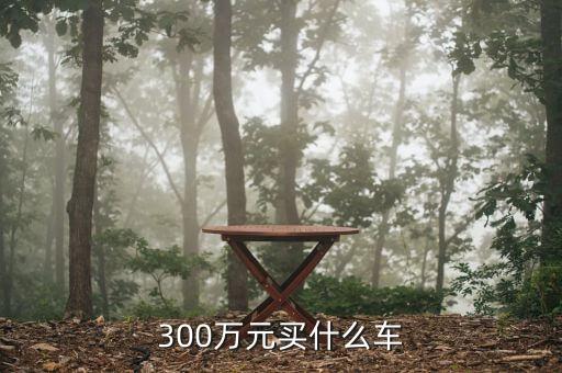 300萬(wàn)現(xiàn)金買(mǎi)什么車，300萬(wàn)元可以買(mǎi)什么車