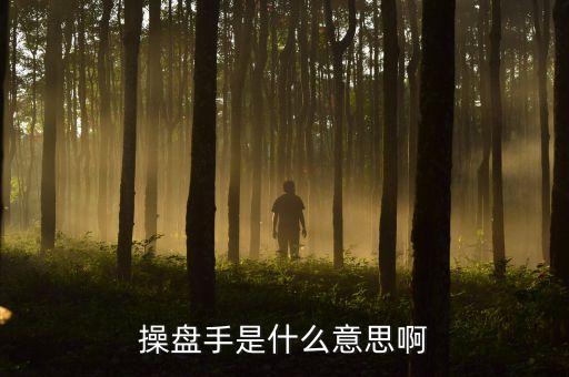 股票里操盤手聯(lián)盟是什么意思，有哪位高人可以給我詳細(xì)解釋下操盤手是什么意思