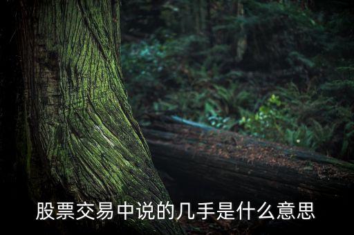 股票幾手是什么意思，股票的幾手是什么意思