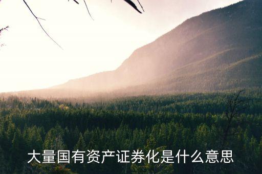 什么是國(guó)資證券化率，資產(chǎn)證券化率的公式