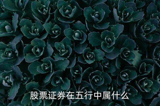 股票在五行中屬什么，股票證券在五行中屬什么