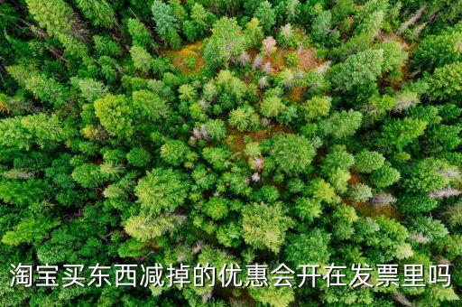 網(wǎng)店為什么貨票不同行，為什么網(wǎng)店賣的東西不能和發(fā)票一同送來(lái)