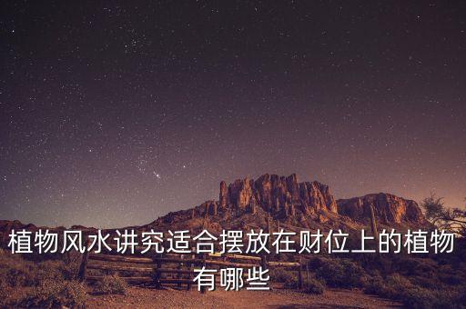 16年擺什么花利于財(cái)，客廳擺放什么花最吉利