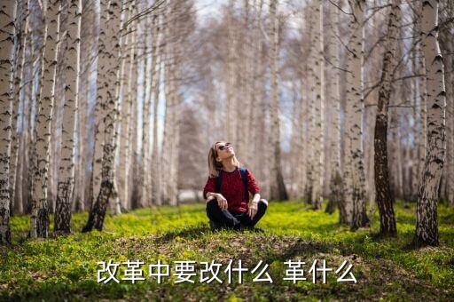 你認(rèn)為我國改革的重心應(yīng)是什么改，我國改革的任務(wù)決定了改革應(yīng)是 A 經(jīng)濟(jì)體制的改革 B 政治體制的改革