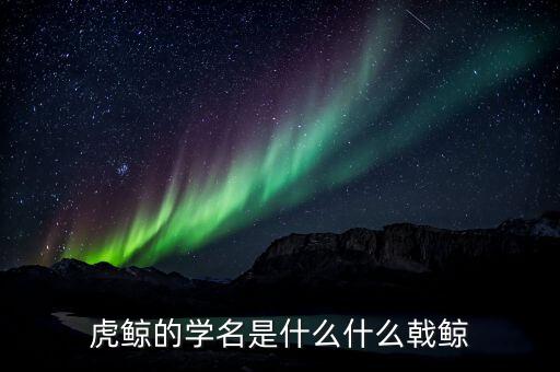 折戟鯨是什么，虎鯨的學名是什么什么戟鯨