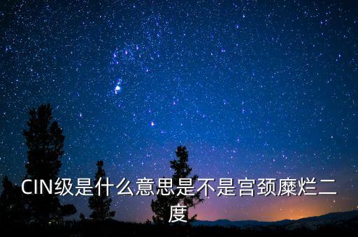 海泰宮靖是什么級(jí)別，CIN級(jí)是什么意思是不是宮頸糜爛二度