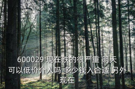 粵傳媒今天什么跌這么厲害，600029 現(xiàn)在跌的很嚴(yán)重 明天可以低價(jià)介入嗎 多少錢入合適 另外現(xiàn)在