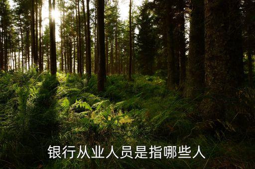 銀行從業(yè)人員是什么，我在銀行從業(yè)資格證里面看到一個銀行從業(yè)人員和銀行非從業(yè)人員