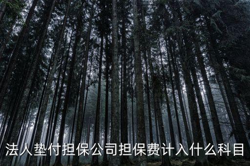 什么是法人墊款，法人代墊款的分錄需有什么附件嗎