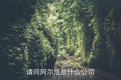 adama是什么公司，請(qǐng)問(wèn)阿爾法是什么公司