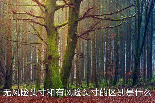 市場風(fēng)險(xiǎn)頭寸是什么，什么是可抵消市場風(fēng)險(xiǎn)頭寸