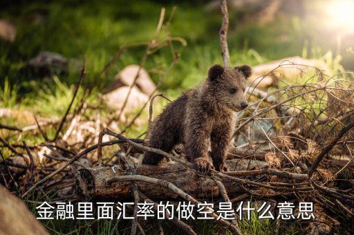 金融做空是什么意思，金融做空是什么意思