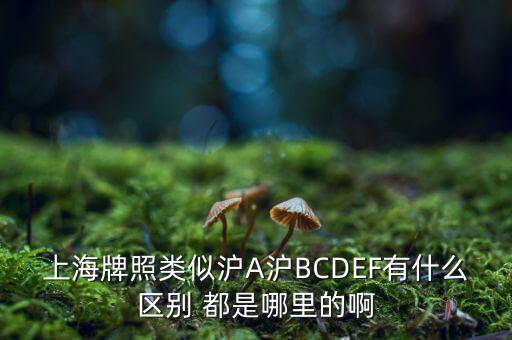 上海市政府牌照是滬什么，上海的車牌是滬還是浦