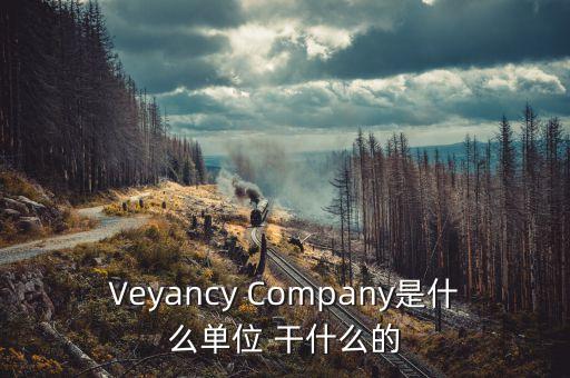 時代沃頓科技有限公司是什么單位，Veyancy Company是什么單位 干什么的