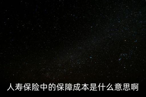 什么是保險公司的保證成本，保險中的保障成本是什么意思