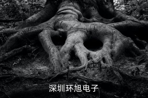 環(huán)旭電子經營什么，上海環(huán)旭電子有限公司在什么地方