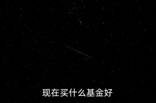 現(xiàn)在買(mǎi)什么基金好