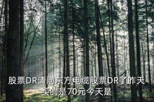 603606東方電纜屬于什么股票，丹 東 浪 頭 機 場 訂 票 熱 線 電 話 是 多 少