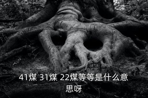 什么叫三二煤，2煤3煤什么意思