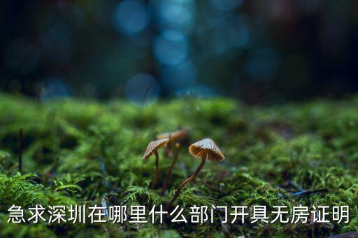 坪山國(guó)土局在什么地方，深圳哪座山比較有趣