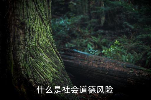 什么是社會風(fēng)險(xiǎn)，什么是社會道德風(fēng)險(xiǎn)