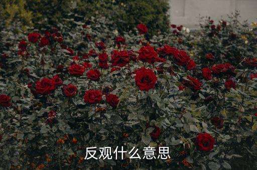 反觀當(dāng)下是什么意思，求英語大神翻譯反觀當(dāng)下