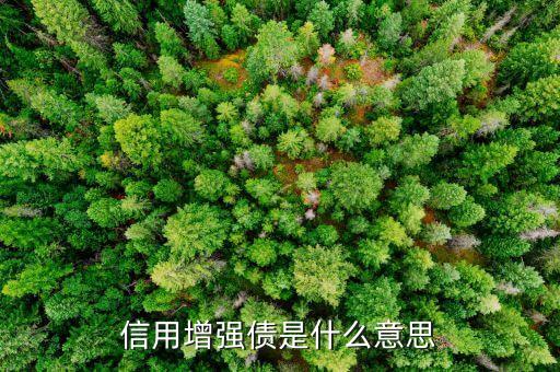信用增強債是什么意思