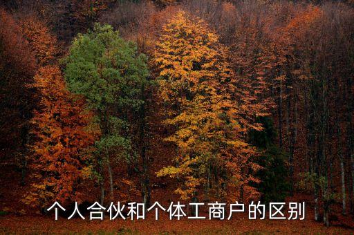 個人合伙領取什么經營執(zhí)照，個人合伙辦理個體工商戶執(zhí)照