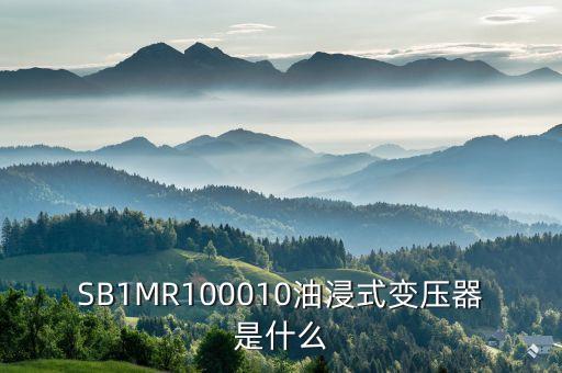 油浸式變壓器什么是酚推，SB1MR100010油浸式變壓器是什么