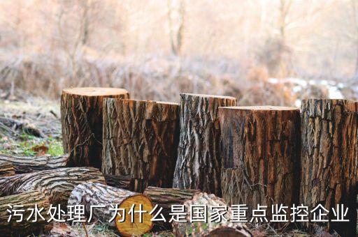 重點(diǎn)監(jiān)控企業(yè)為什么，稅務(wù)局來電要我們公處理重點(diǎn)監(jiān)控是什么意思