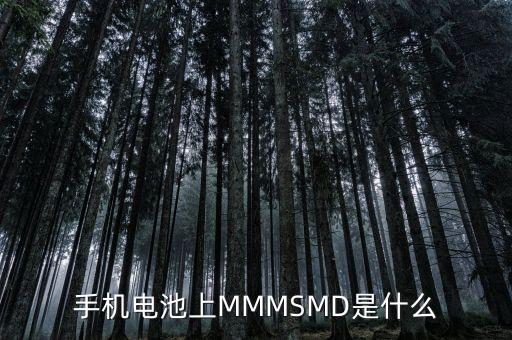 什么是電力儲能，手機電池上MMMSMD是什么