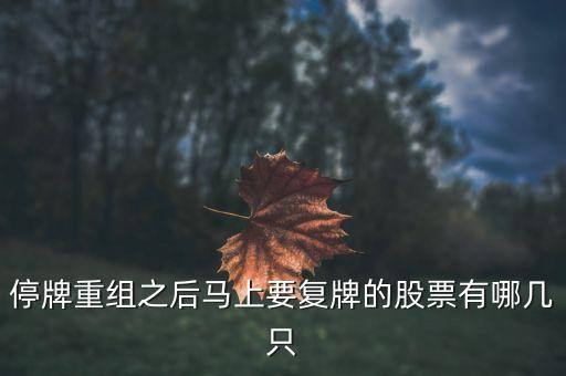 002306什么時候復牌，停牌重組之后馬上要復牌的股票有哪幾只