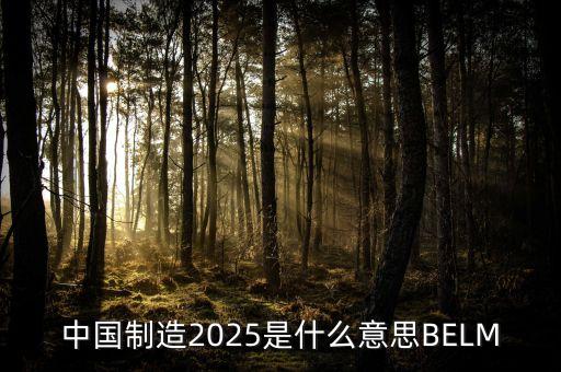 2025規(guī)劃是什么，中國制造2025是什么意思BELM