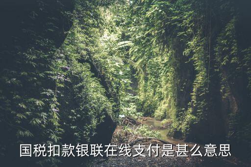 銀聯(lián)劃扣跟連連支付有什么區(qū)別，國(guó)稅扣款銀聯(lián)在線支付是甚么意思