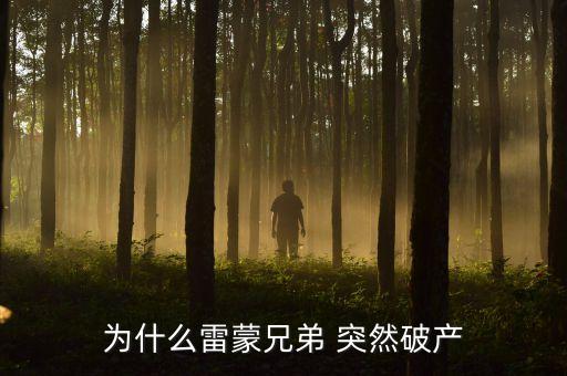 雷曼兄弟為什么破產(chǎn)，雷曼兄弟是因?yàn)槭裁炊飘a(chǎn)的