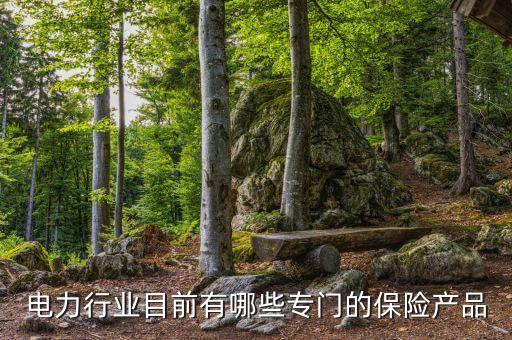 電力行業(yè)目前有哪些專門(mén)的保險(xiǎn)產(chǎn)品