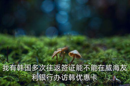 訪韓優(yōu)惠卡有什么作用，我有韓國多次往返簽證能不能在威海友利銀行辦訪韓優(yōu)惠卡