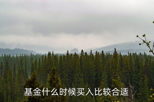 基金在什么時候買入，買入基金的最佳時機