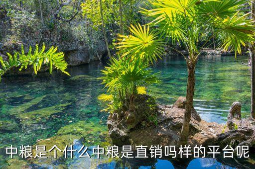 中糧明誠是什么，你好請問你在中糧生化衡水有限公司應聘成功了嗎這個公司是