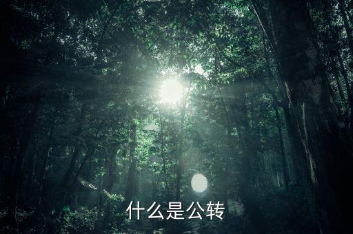 公轉(zhuǎn)書是什么，什么是公轉(zhuǎn)