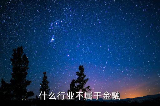 什么不是金融市場參加者，金融市場的參與者包括