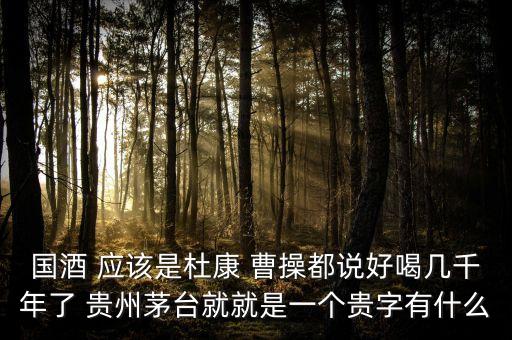 為什么不拿杜康當國酒，為什么杜康酒沒有成為中國十大名酒之一
