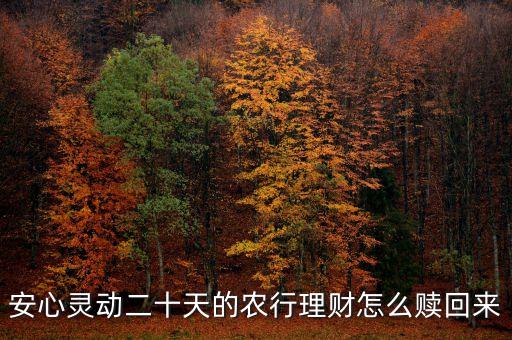 安心靈動20天什么時候可以贖回，安心靈動二十天的農行理財怎么贖回來